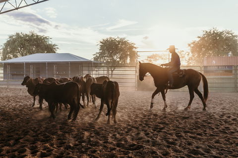 Katherine Outback Experience - Horse Riding Experience - Accommodation Australia 2