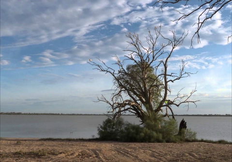 Lake Benanee - Accommodation Australia 0