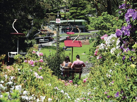 Launceston Gorge Scenic Chairlift - Accommodation Directory 0