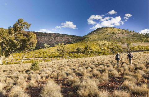 Little Mountain Walking Track - Wagga Wagga Accommodation 0