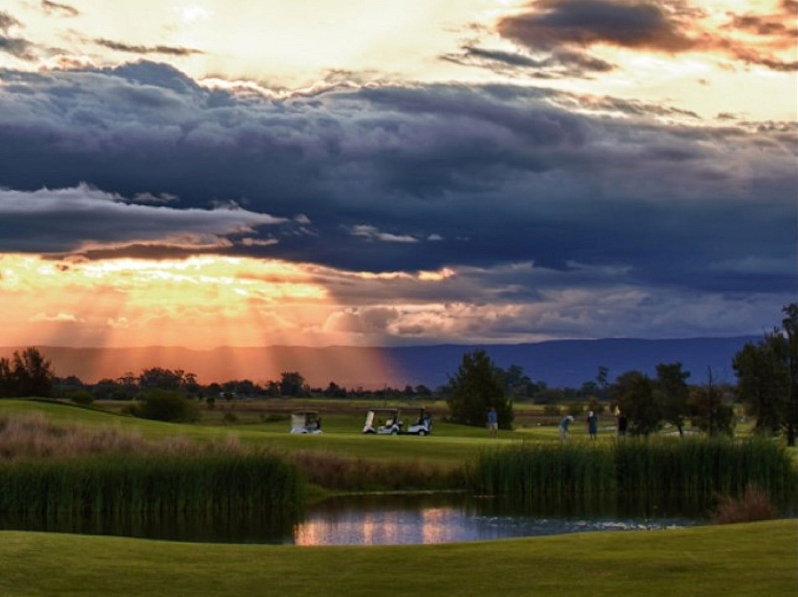 Lynwood Country Club Logo and Images