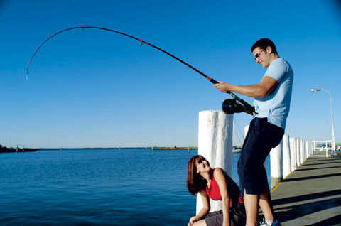 Manly - Caravan Park Accommodation 1