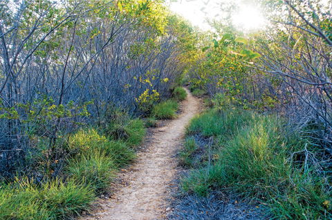 Minerva Hills National Park - Accommodation Perth 2