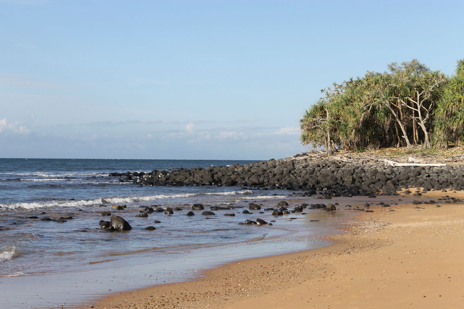 Mon Repos Beach Logo and Images