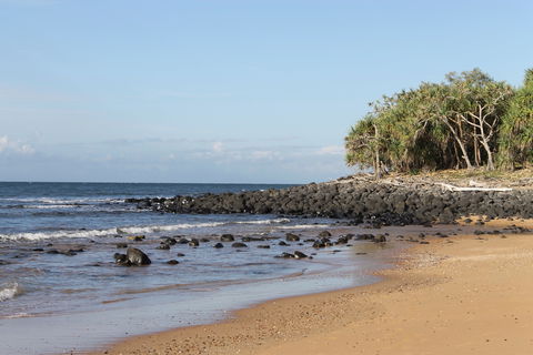 Mon Repos Beach - Mackay Tourism 2