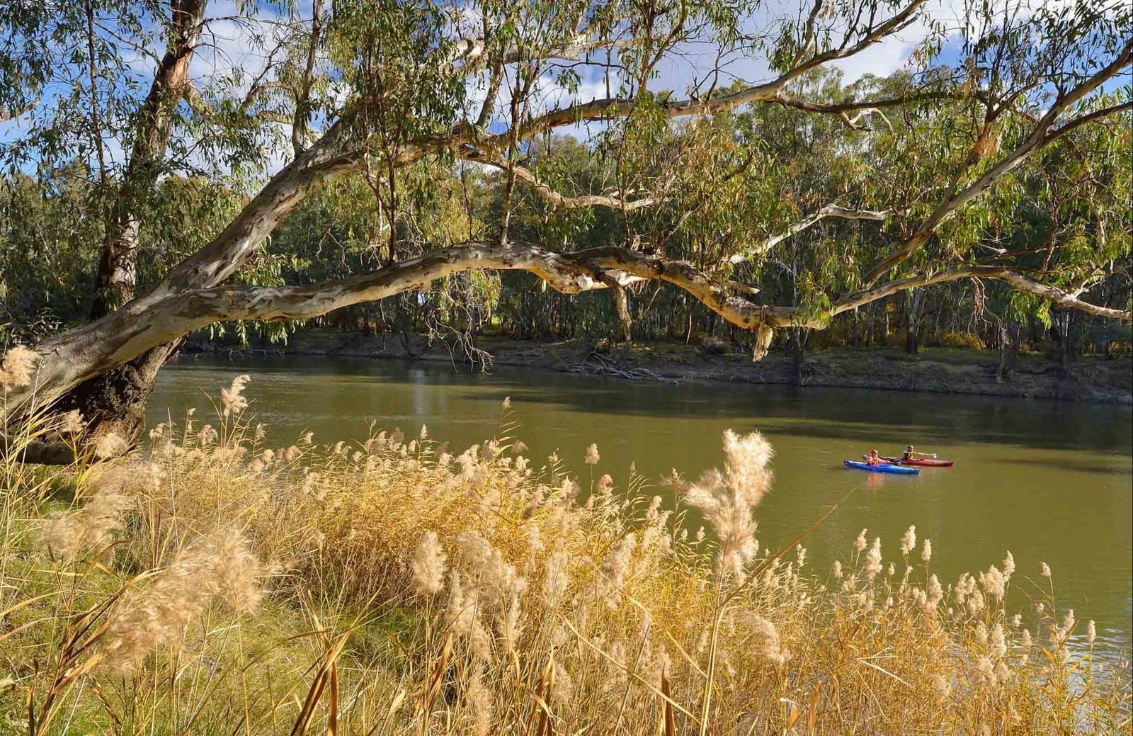 Yanga NSW Accommodation Tasmania
