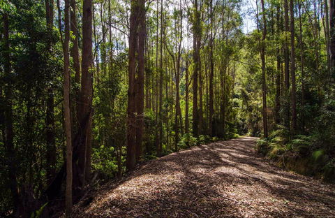 Myrtle Scrub Scenic Drive - Accommodation Perth 0