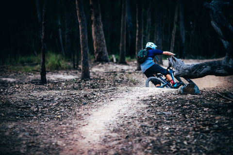 Nerang Mountain Bike Trails - Kingaroy Accommodation 1
