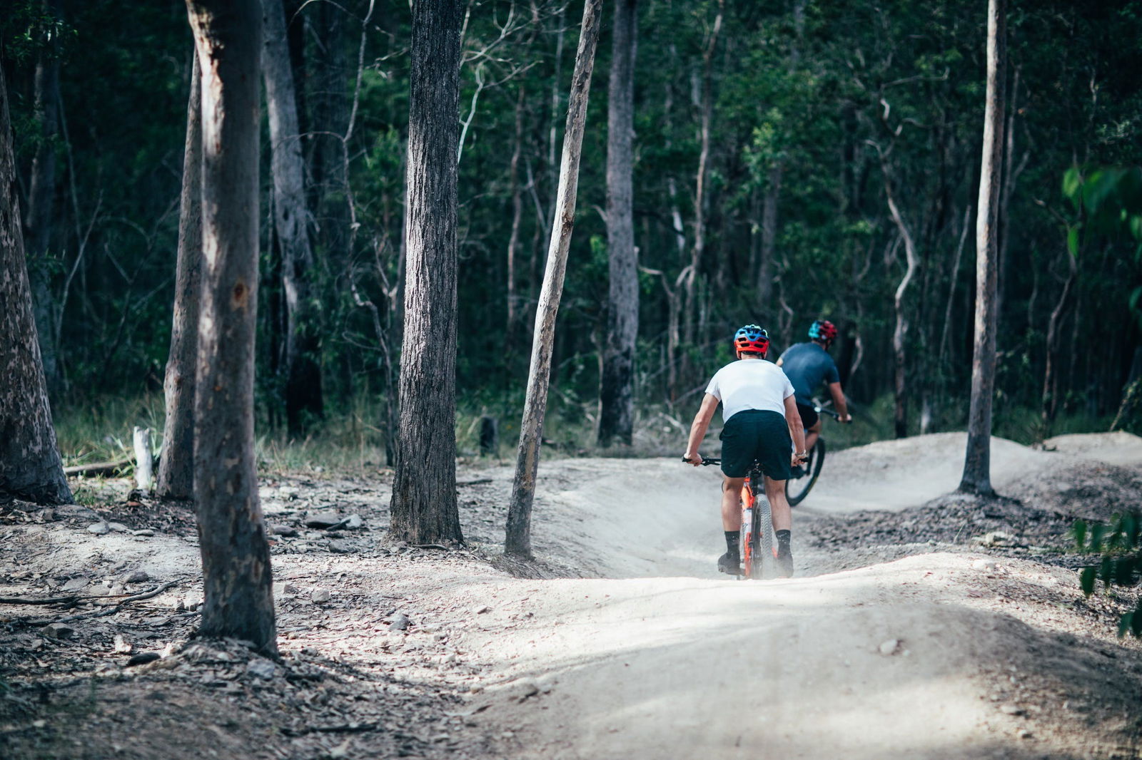 Nerang Mountain Bike Trails Logo and Images