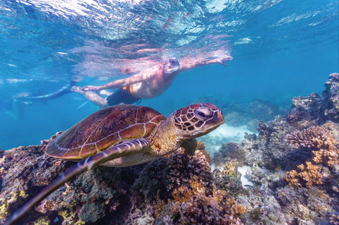 Ningaloo Marine Park - Caravan Park Accommodation 0