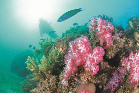 Ningaloo Marine Park - Caravan Park Accommodation 2