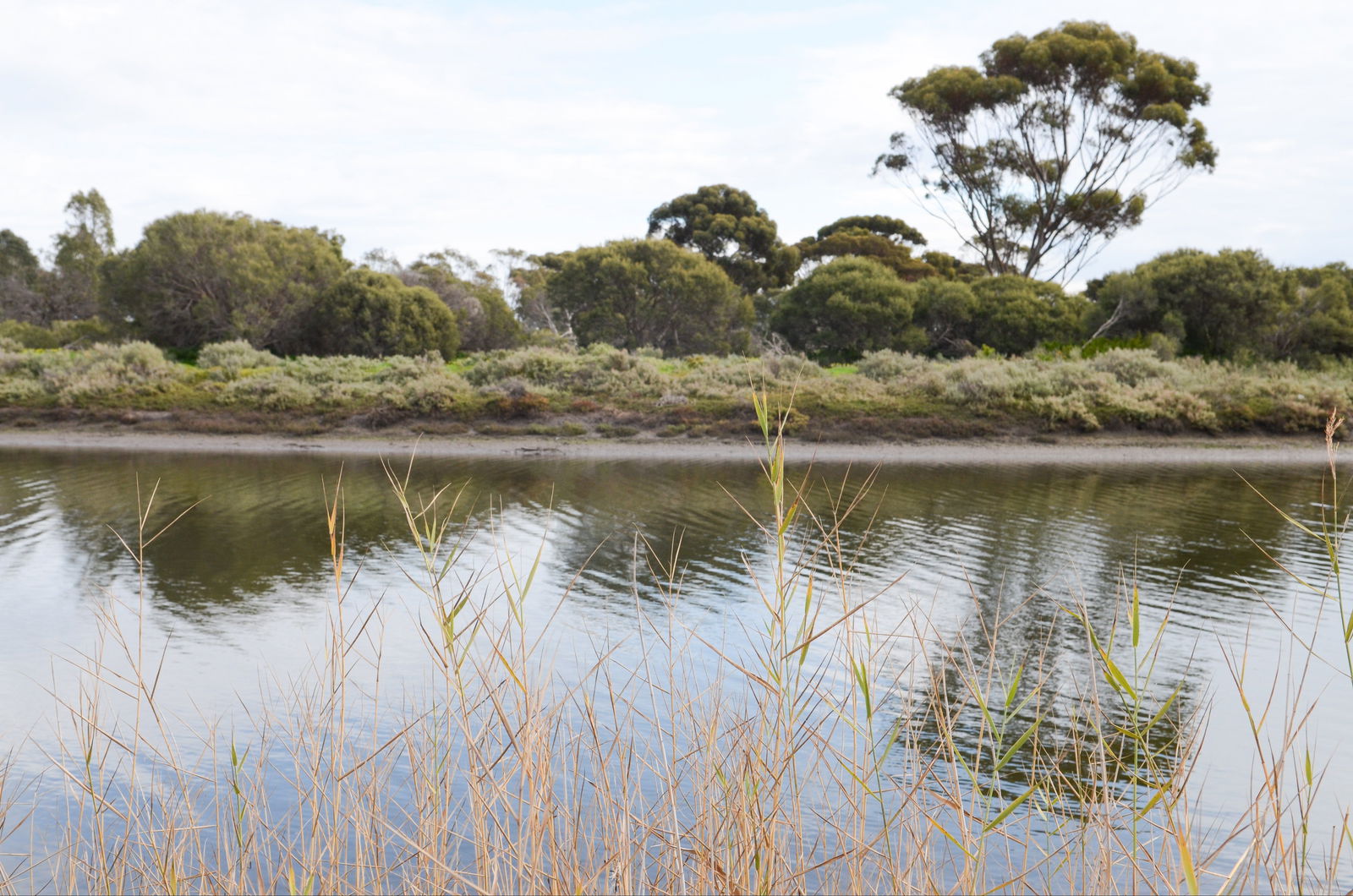 Onkaparinga River Recreation Park Logo and Images