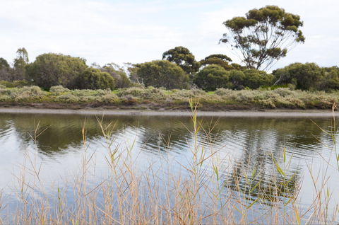 Onkaparinga River Recreation Park - Accommodation Redcliffe 0