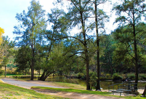 Ophir Reserve - Hotel QLD 1
