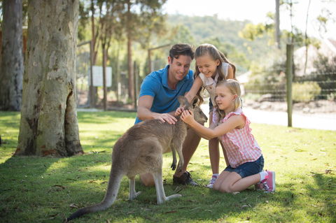 Paradise Country - New South Wales Tourism  2