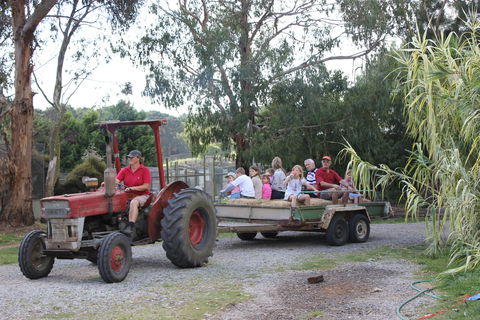 Rain Hayne And Shine Farmyard - Sunshine Coast Guide 1