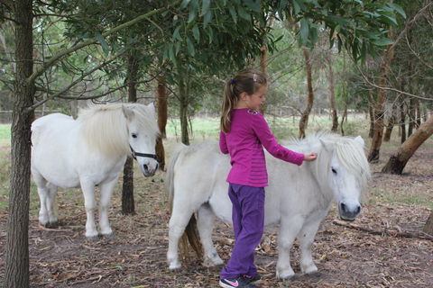 Rain Hayne And Shine Farmyard - Sunshine Coast Guide 2