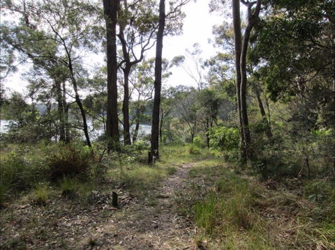 Ringlands Rotary Walk Narooma - Accommodation Sunshine Coast 2