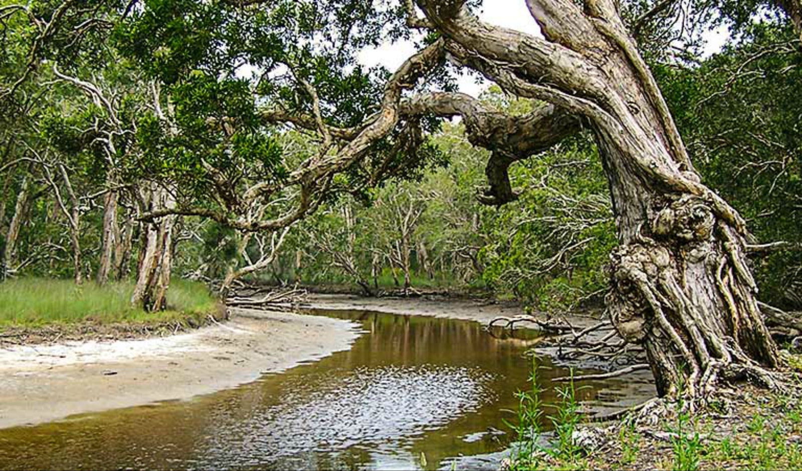 Saltwater National Park Logo and Images