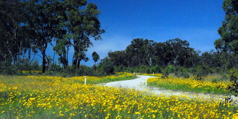 Shearer's Way - Tourism Bookings 0