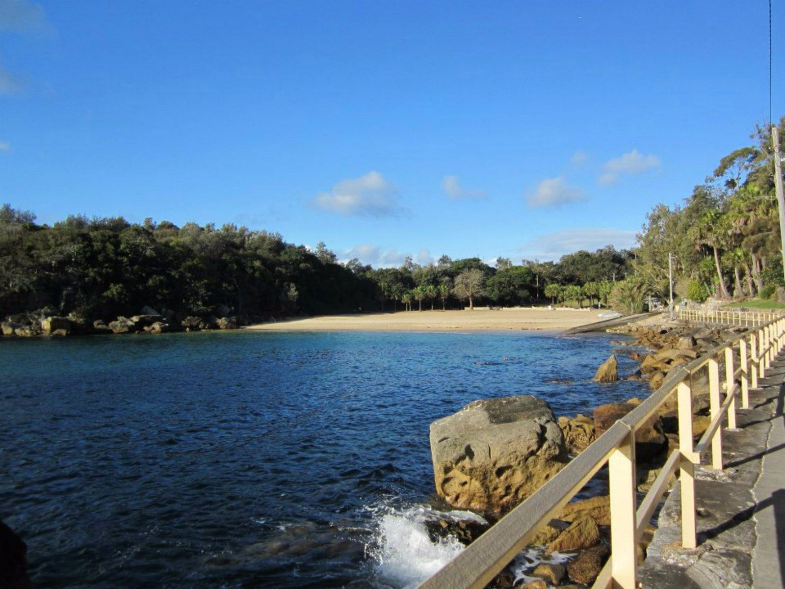 Shelly Beach: Manly Logo and Images