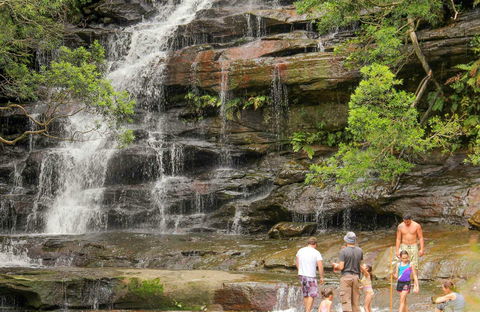 Somersby Falls Picnic Area - Accommodation Yamba 0