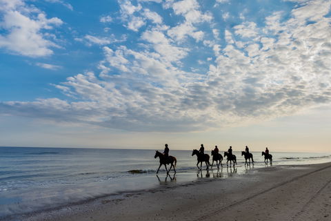 South Coast Experiences - Car Rental 2