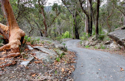 Stepping Stone Crossing To Cascades Trail - Accommodation QLD 0