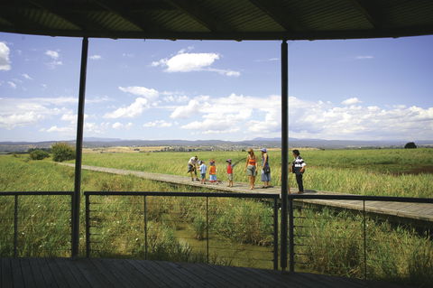 Tamar Island Wetlands Centre And Reserve - Accommodation Directory 0