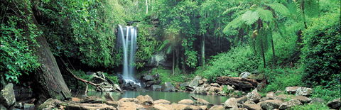 Tamborine National Park - Wagga Wagga Accommodation 0