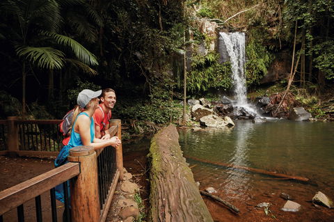 Tamborine National Park - Wagga Wagga Accommodation 1