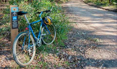 Walter Hood Ride From Cudmirrah - Accommodation ACT 0