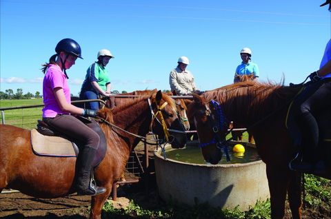 Western Plains Riding Centre - Open - Accommodation Broken Hill 0