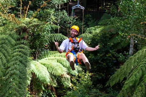Zipline At Illawarra Fly - Hobart Tourism 2