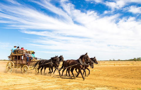 7 Day Outback Giants - Hervey Bay Accommodation 0