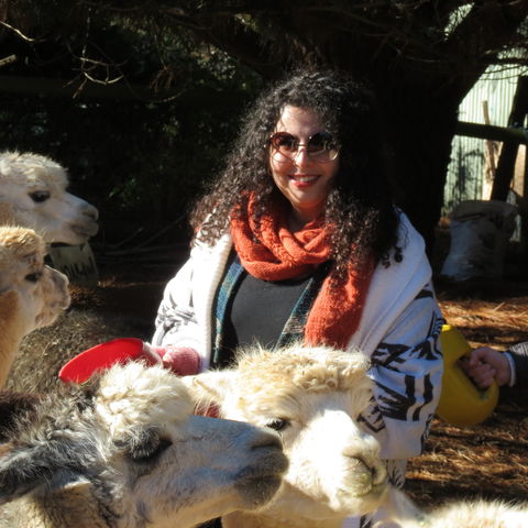 Alpaca Farm Experience At Crookwell - Accommodation Perth 1