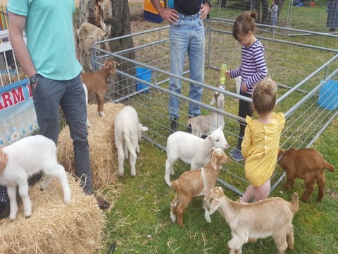 Animal Farm Visit - Caravan Park Accommodation 2