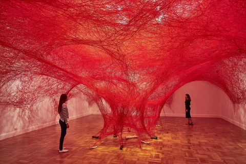 Art Gallery Of South Australia - Accommodation Australia 0