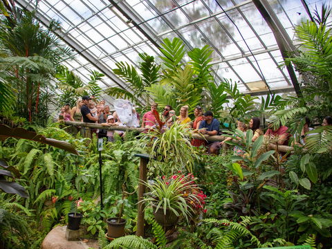 Australian Butterfly Sanctuary - Attractions Perth 2