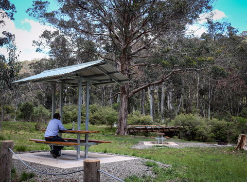 Barrington Tops State Forest - Accommodation Hamilton Island 0
