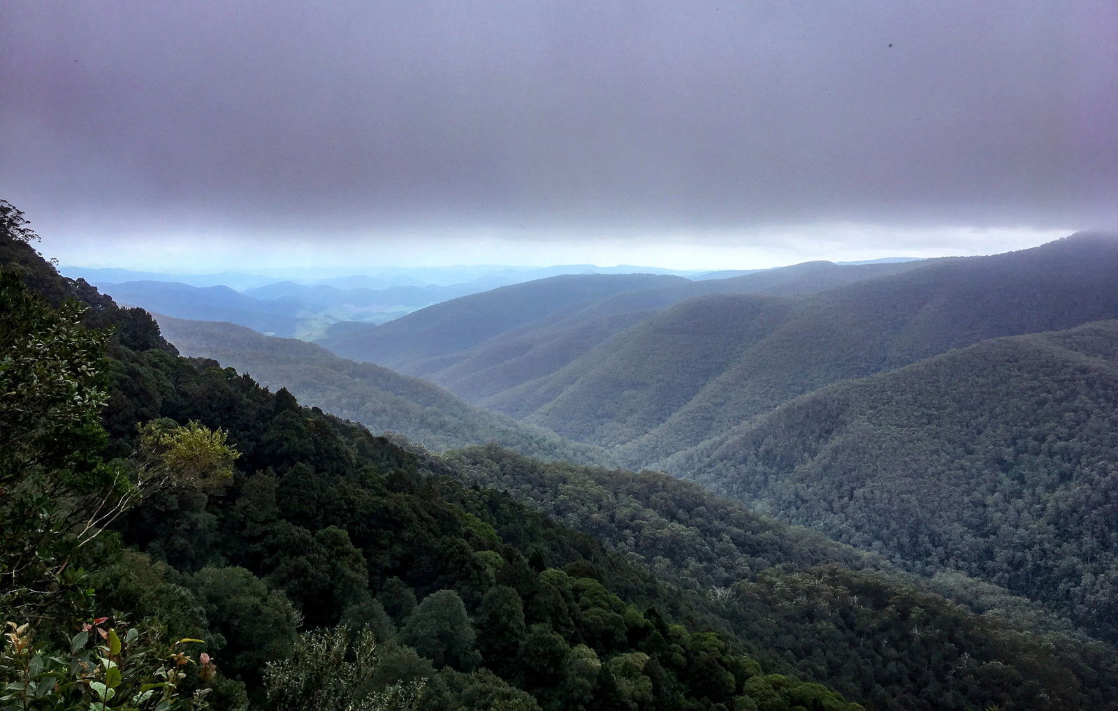 Barrington Tops State Forest Logo and Images