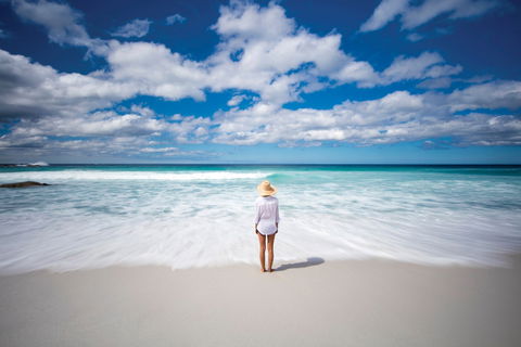 Bay Of Fires - Hervey Bay Accommodation 1