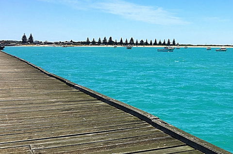 Beachport Jetty - Tourism Listing 1