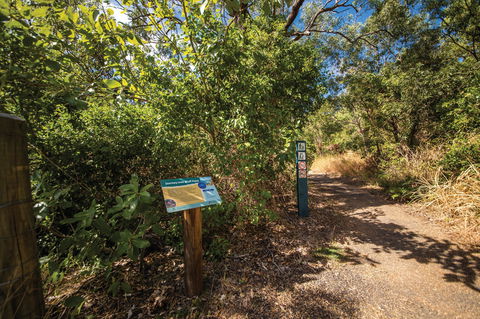Bluff Point Circuit, Capricorn Coast National Park - Lightning Ridge Tourism 1