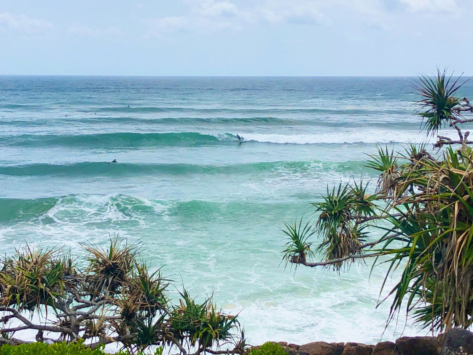 Cabarita Beach Logo and Images