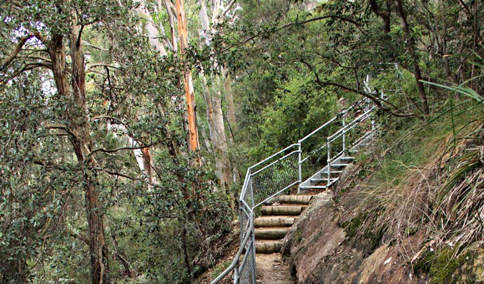 Caleys Lookout Track Logo and Images