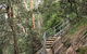 Caleys Lookout Track - thumb 0