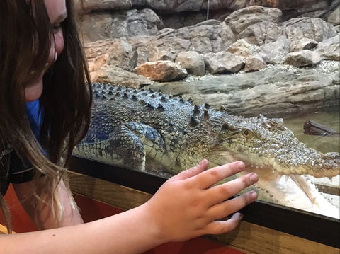 Canberra Reptile Zoo - Northern Rivers Accommodation 0
