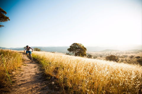 Canberra Centenary Trail - Accommodation Great Ocean Road 0