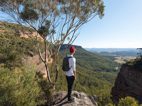Centennial Glen - Kawana Tourism 0